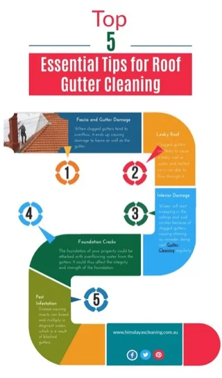 Gutter Maintenance Tips for Florida Homeowners