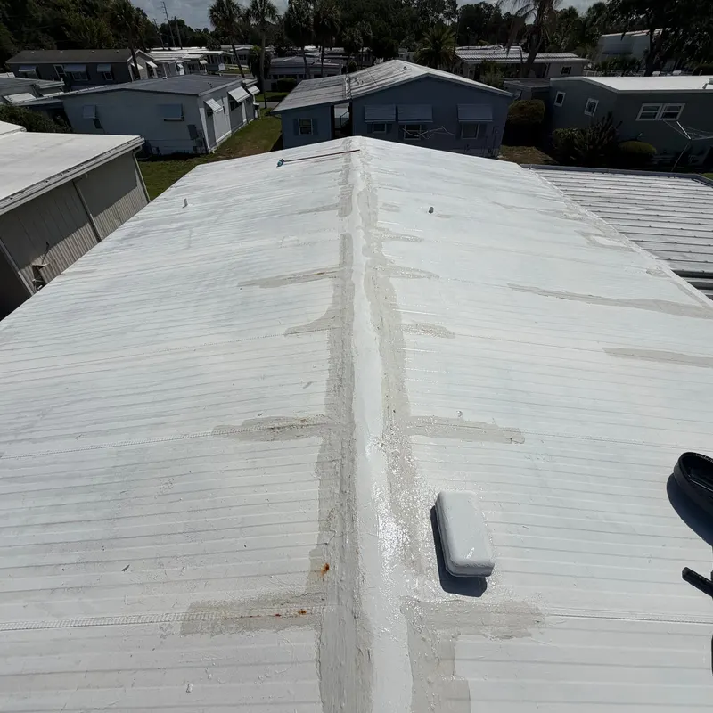 Metal roof after soft washing, with the old seam patches cleaned