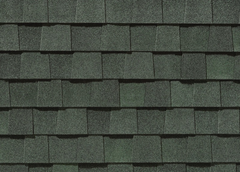 CertainTeed Landmark Pro in Max Def Evergreen
