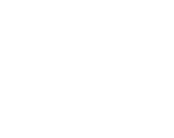 Pro Specialty Services logo